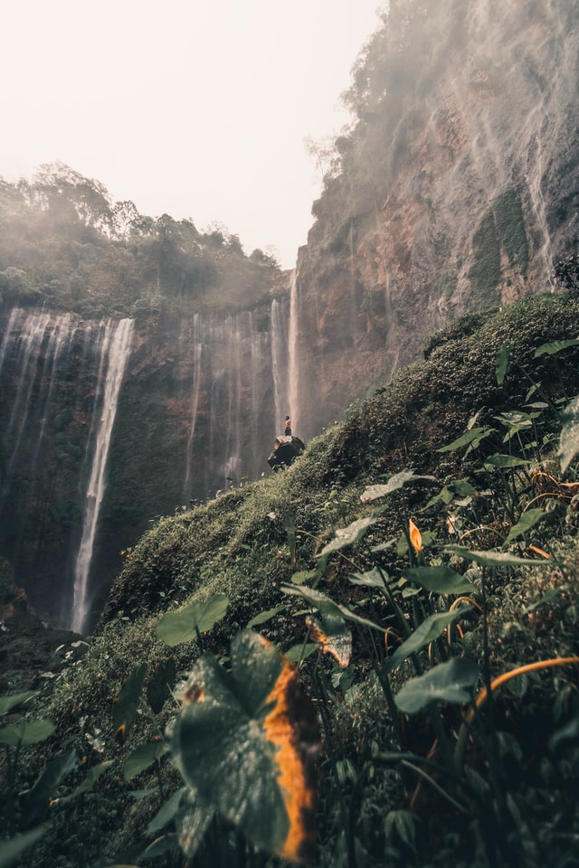 Photo by Ardito Ryan Harrisna on Unsplash